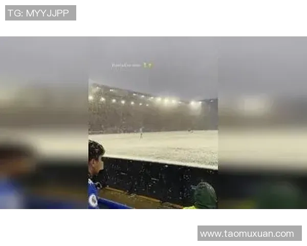 雪天赛场上的足球巨星闪耀瞬间展现运动魅力与坚定意志 雪天赛场上的足球巨星闪耀瞬间展现运动魅力与坚定意志